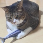 ブログあれこれ