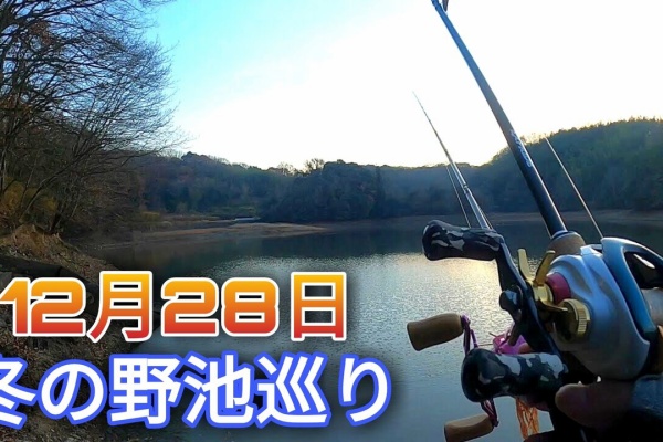 Hideの釣りブログ 年12月