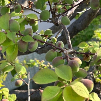 “わたし”を置き去りにしたまま、誰かの力になれると思ってた。