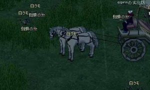 蜘蛛の糸を40個集めるだけで経験値5万もらえるクエスト