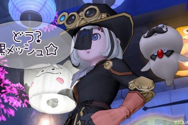 せ せ せ せりぽるてぃあ 北半球no 4ブログ 18年11月