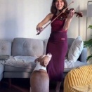 バイオリンを初めて聞いた預かり犬、足元に座り込んで腰を振り出す「なんで止めたの？」【海外の反応】