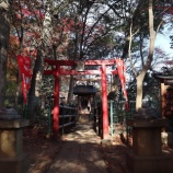 『安行の紅葉２０２５　-弁財天-』の画像