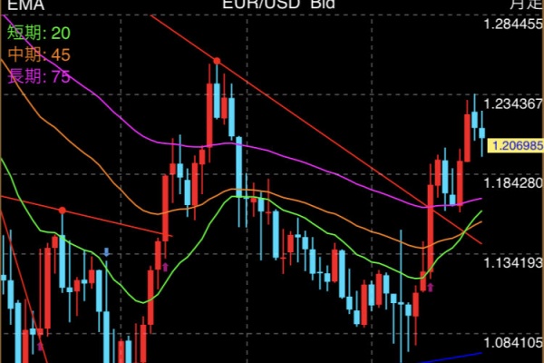 ロジカル派トラリピで30代fire達成 超くるくるワイドのススメ