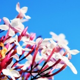 『ガイダンス（256）2026年3月』の画像