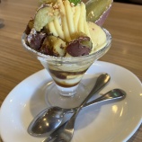 心の葛藤ジレンマがヒドイ