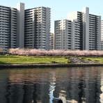 涌キ園日記帖～転がる小岩