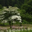 どんでん平ゆり園