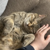 まったりしてると思いきや