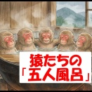 猿たちの「五人風呂」