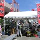 『8月のいちび』の画像