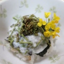 山菜ワラビの山かけ丼とカメノテ塩茹でとオドリコソウ～