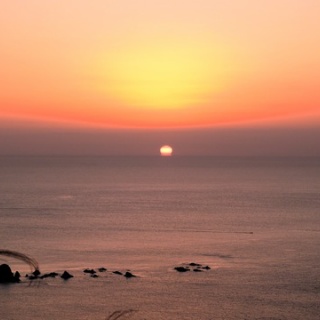 土佐料理　旬の鰹がゆく！