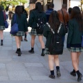 修学旅行でJKのグループは俺んちでゆっくり休憩するルートを入れてほしい