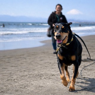 NPO法人ペット里親会