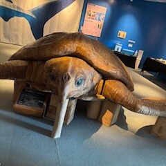 新年会最終章⑷。