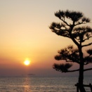 英語学習の道は長い５９