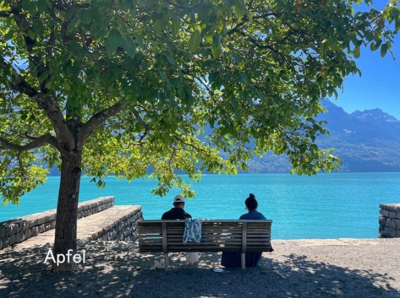2026年は観測史上最も暑い夏 in スイス🇨🇭