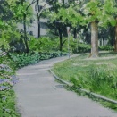 初夏の遊歩道