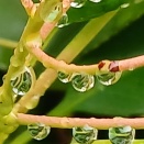 秋憂い雫の中に押し込んで