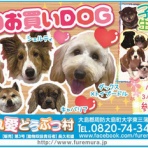 周防大島商タイム