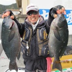 中本渡船　釣果情報