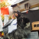 1月14日のグルーミングフォト