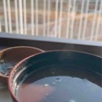 東麻美のオフィシャルブログ～スポーツボイス・歌～