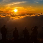 来世から本気だす速報