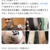 【朗報】WBCチェコ代表、無事大谷翔平のサインを手に入れる