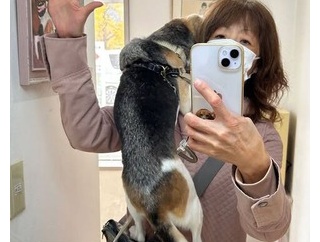 ごめんもう一日・・