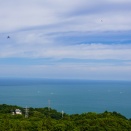 小田原旅行