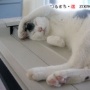 選８／お馬鹿なポーズ