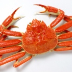 弁護士「蟹アレルギーの妻に無理やり食べさせ続けた結果、蟹が大好きになった」と投稿 →大炎上 →批判にブチギレ