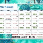 naeclose Diary