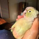 みいちゃんはね♪