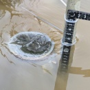 田んぼへの流入量の見立て