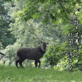 犯人はどこのどいつだ