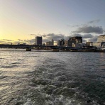 うるおいフルーティ再開