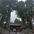６年生日光自然教室3日目   その2