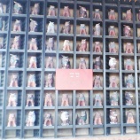 『宝島（6200回記念）（8）ここはすでに春（8）』の画像