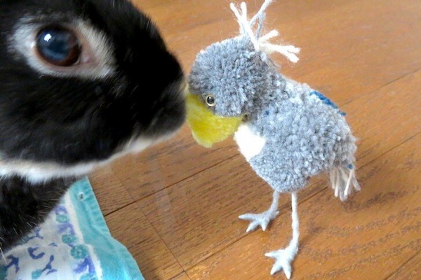 ハシビロコウ＊壁飾り＊鳥ぽんぽん