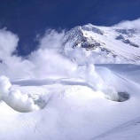 『感謝の日』の画像