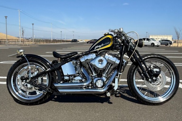 ランブータンバイクシート作製のブログ