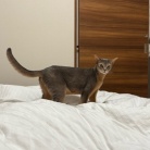 お布団の取り合い