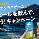 アークス×よなよなエールキャンペーンみっけ