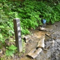 山行記録358　大朝日岳　2026.7.8（水）