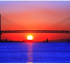 コロナ禍における20代30代独身男女の結婚に関する意識調査で結婚への意識が高まっている人が増えて来ている件