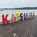 御宿＆勝浦旅行へ行く🌊  勝浦朝市＆遠見岬神社＆帰宅編