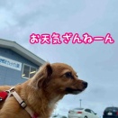 夏の終わりの九十九里